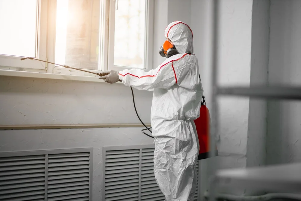 Professional mold remediation services in Newtown, CT